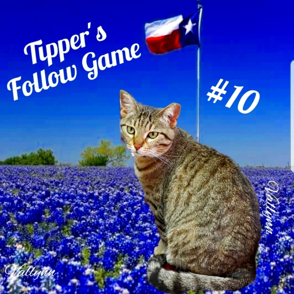 Please Like New Game #11 - Picture 2 of 3